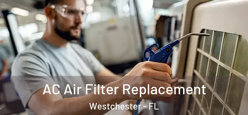 AC Air Filter Replacement Westchester - FL