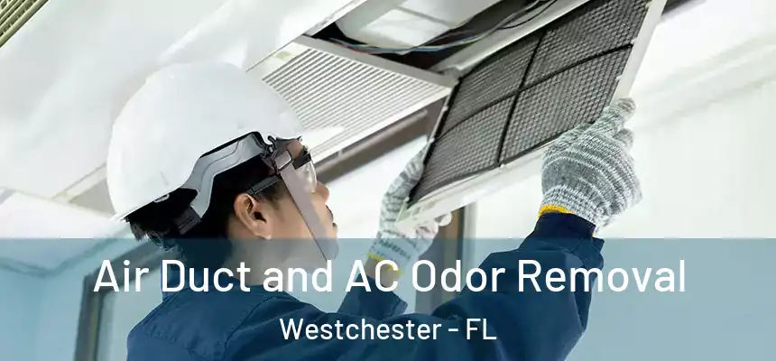  Air Duct and AC Odor Removal Westchester - FL