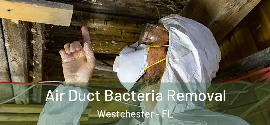  Air Duct Bacteria Removal Westchester - FL