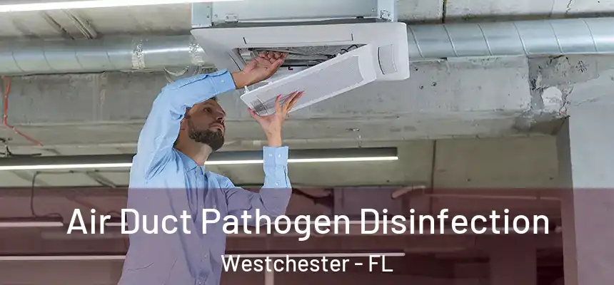  Air Duct Pathogen Disinfection Westchester - FL
