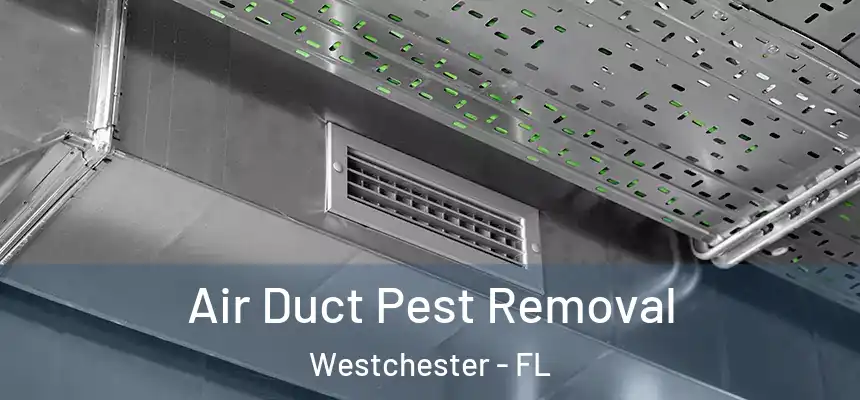 Air Duct Pest Removal Westchester - FL