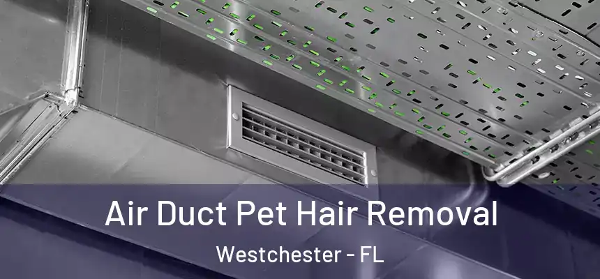 Air Duct Pet Hair Removal Westchester - FL