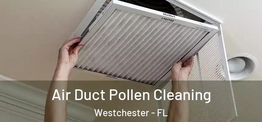 Air Duct Pollen Cleaning Westchester - FL