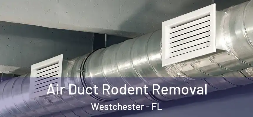 Air Duct Rodent Removal Westchester - FL