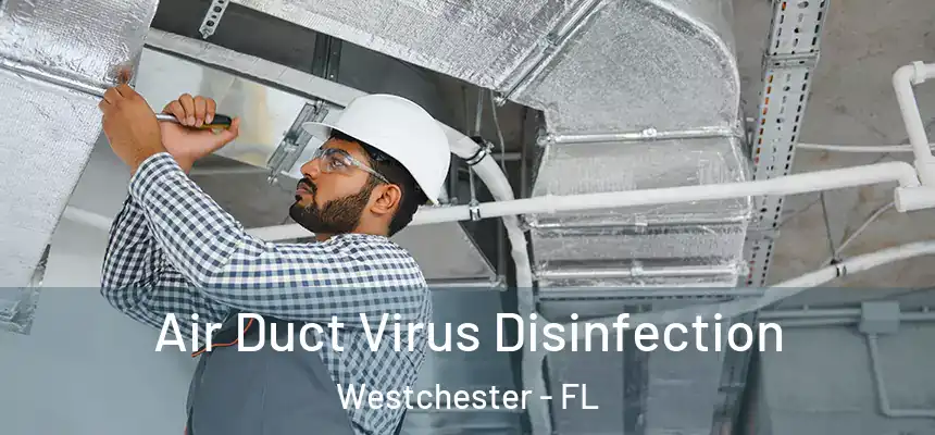 Air Duct Virus Disinfection Westchester - FL