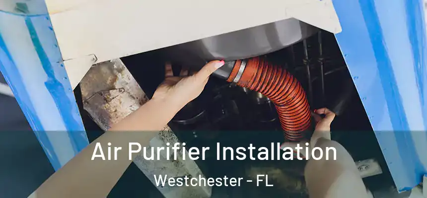  Air Purifier Installation Westchester - FL