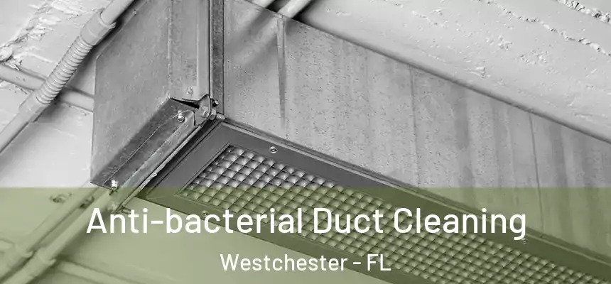  Anti-bacterial Duct Cleaning Westchester - FL