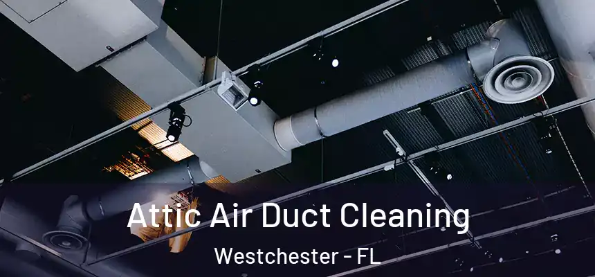Attic Air Duct Cleaning Westchester - FL