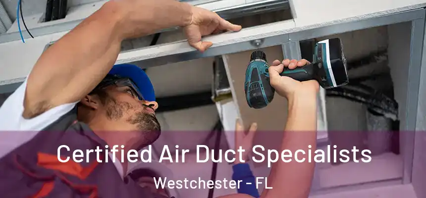  Certified Air Duct Specialists Westchester - FL