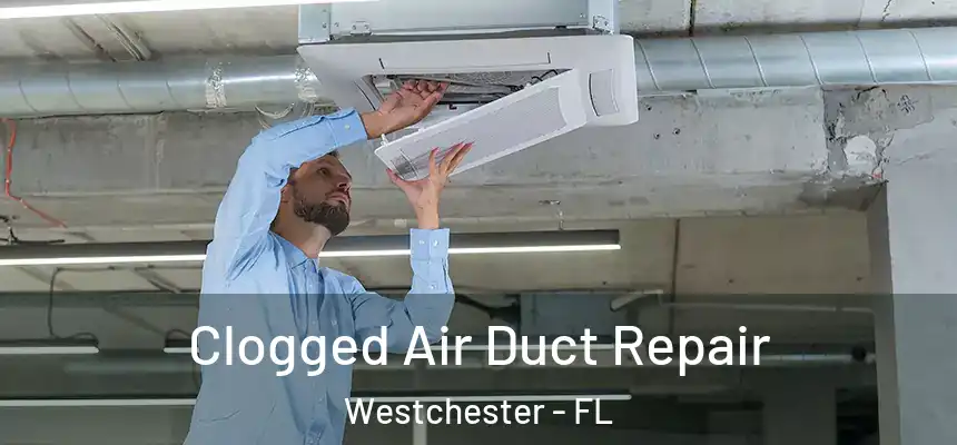 Clogged Air Duct Repair Westchester - FL