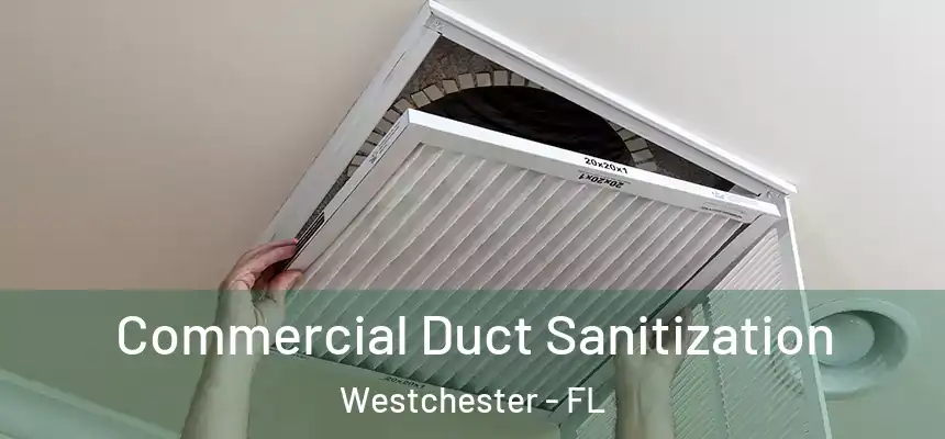  Commercial Duct Sanitization Westchester - FL