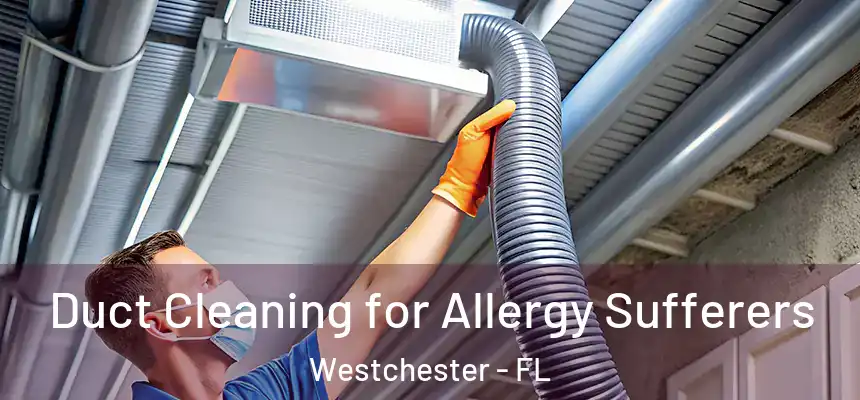 Duct Cleaning for Allergy Sufferers Westchester - FL