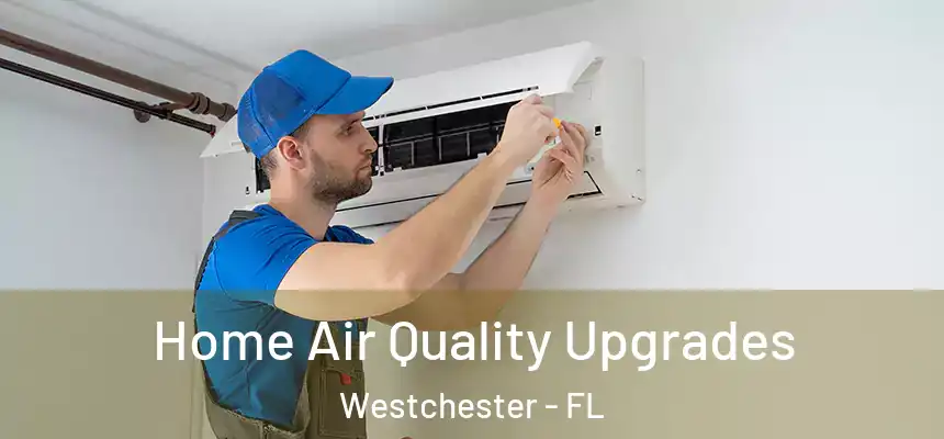  Home Air Quality Upgrades Westchester - FL
