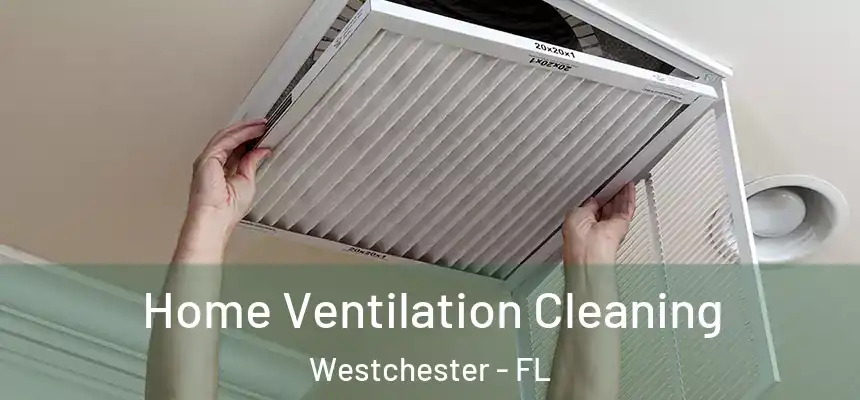  Home Ventilation Cleaning Westchester - FL