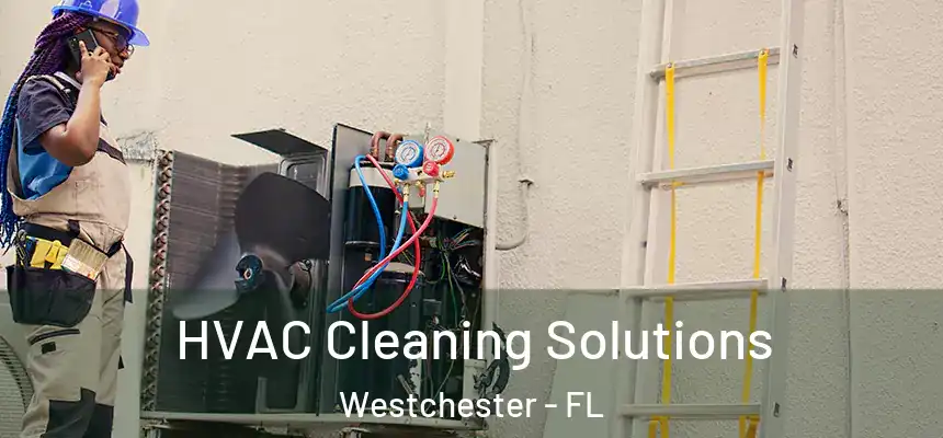  HVAC Cleaning Solutions Westchester - FL