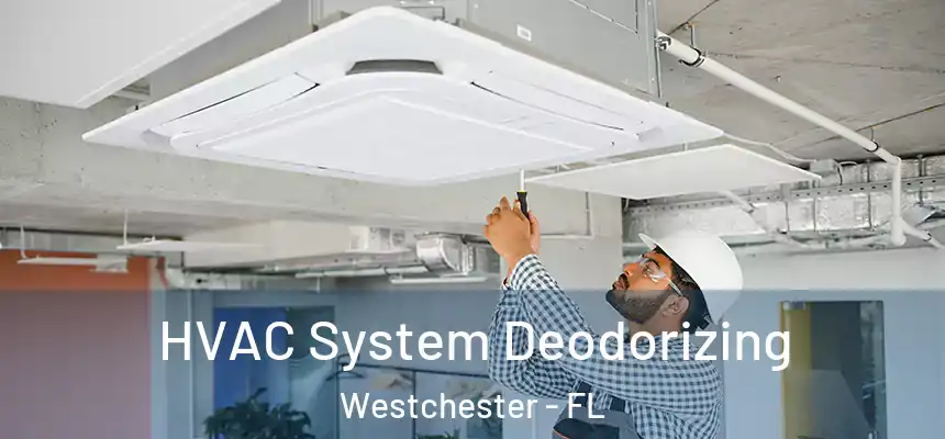 HVAC System Deodorizing Westchester - FL