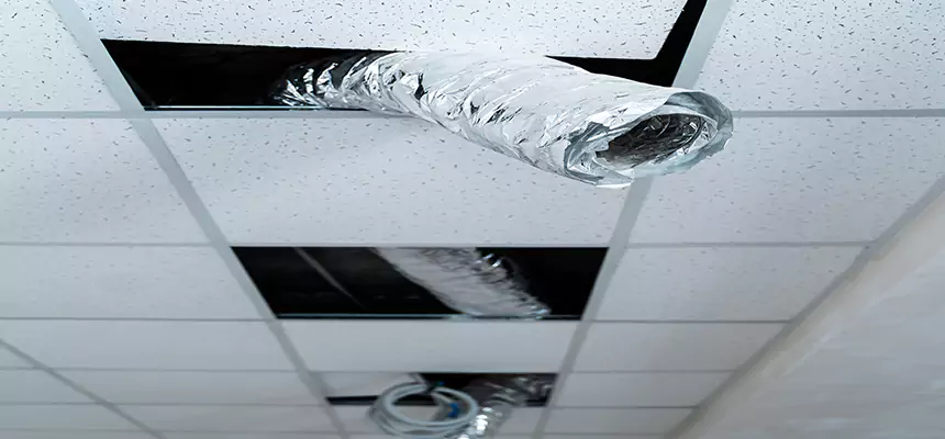 Affordable HVAC Sanitizing After Pest Removal in Westchester