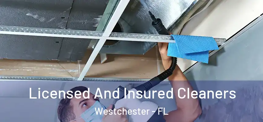 Licensed And Insured Cleaners Westchester - FL