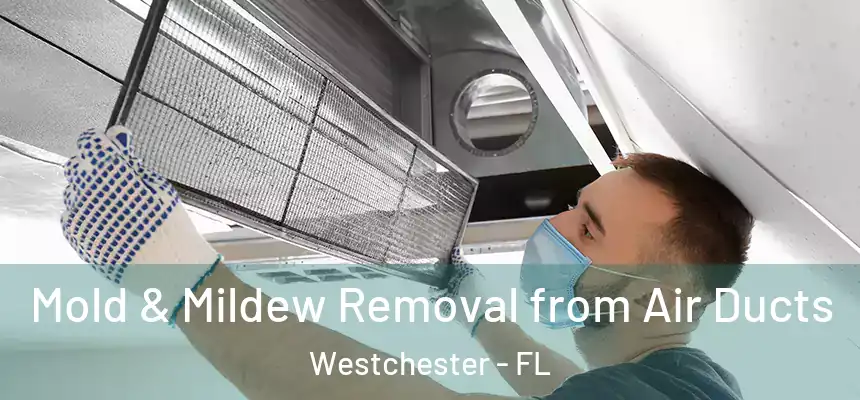  Mold & Mildew Removal from Air Ducts Westchester - FL
