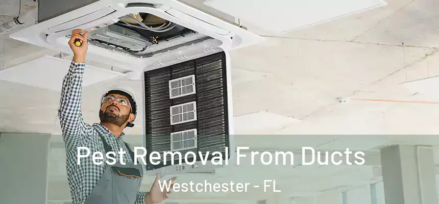 Pest Removal From Ducts Westchester - FL