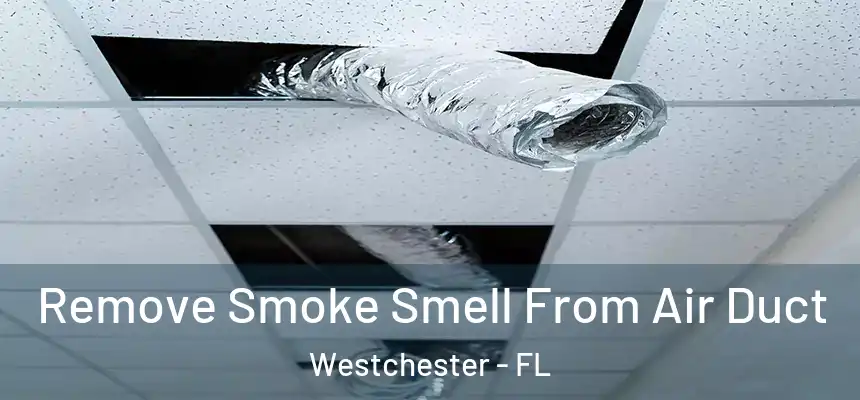 Remove Smoke Smell From Air Duct Westchester - FL