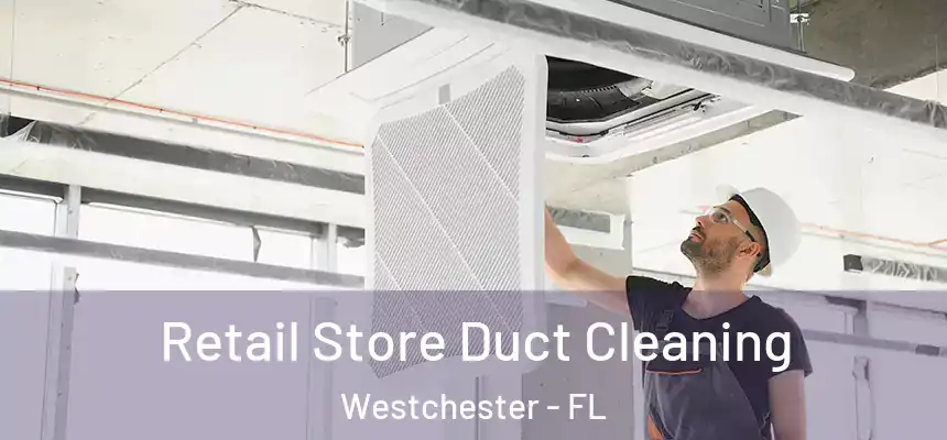  Retail Store Duct Cleaning Westchester - FL