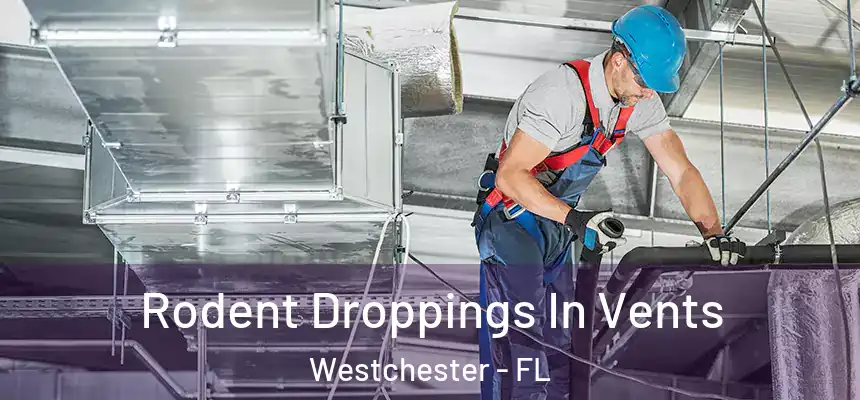  Rodent Droppings In Vents Westchester - FL