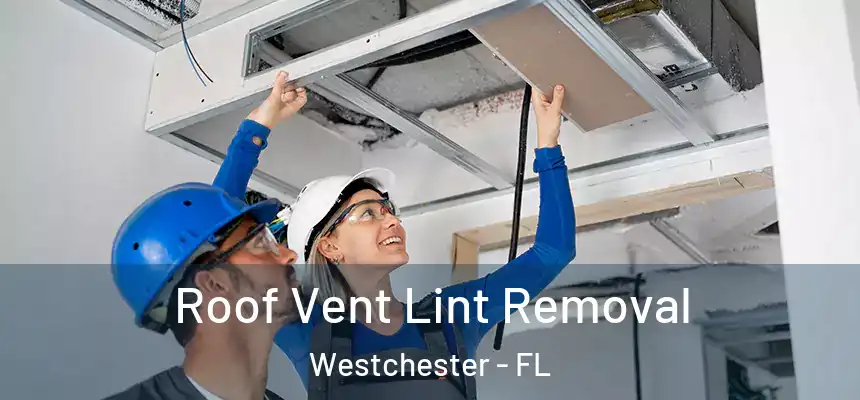  Roof Vent Lint Removal Westchester - FL