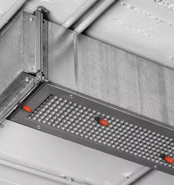 About Air Duct Cockroach Removal in Westchester, FL