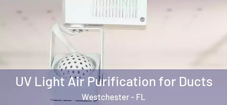  UV Light Air Purification for Ducts Westchester - FL
