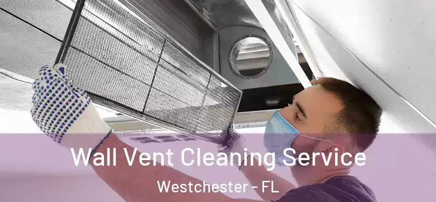  Wall Vent Cleaning Service Westchester - FL