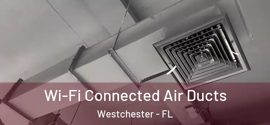  Wi-Fi Connected Air Ducts Westchester - FL